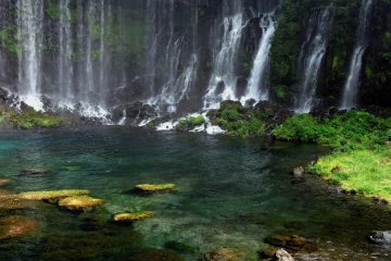 🏞️ 귀밑머리 정돈하는 샘(오빈미즈)